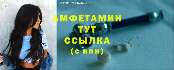шишки Армянск