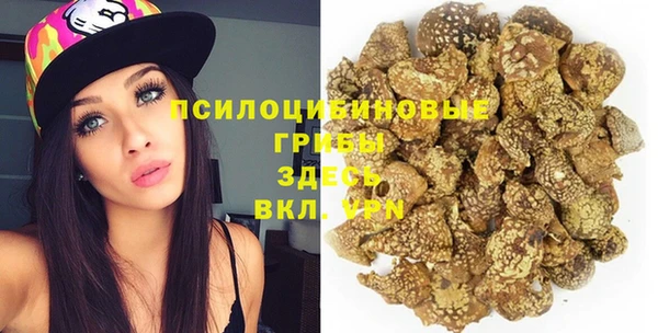 шишки Армянск