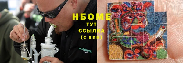 ГАЛЛЮЦИНОГЕННЫЕ ГРИБЫ Аркадак