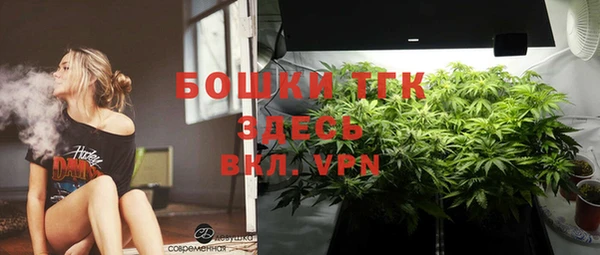 ПСИЛОЦИБИНОВЫЕ ГРИБЫ Алзамай