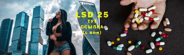 ГАЛЛЮЦИНОГЕННЫЕ ГРИБЫ Аркадак